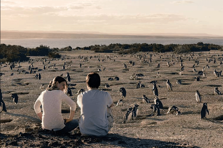 Pingüinos, Punta Tombó.