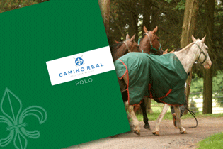 Camino Real has paid particular attention to the polo infrastructure and horse facilities.