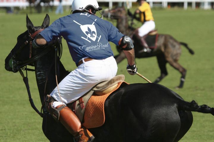 its all about polo, polo argentina, camino real