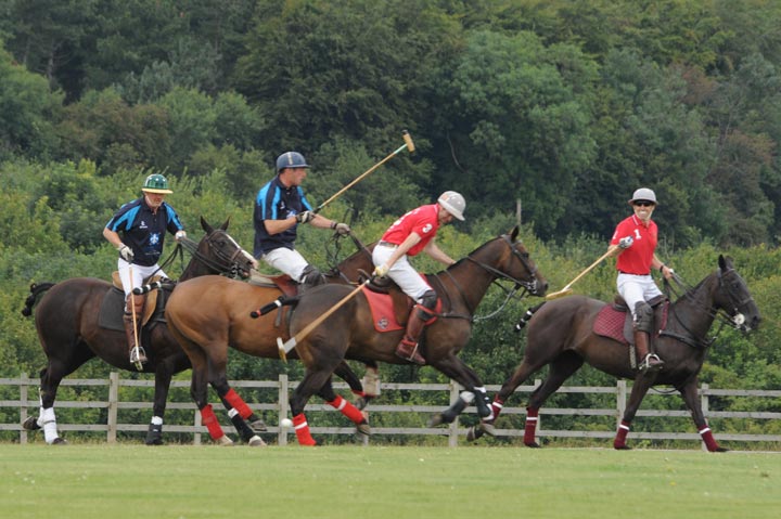its all about polo, polo argentina, camino real